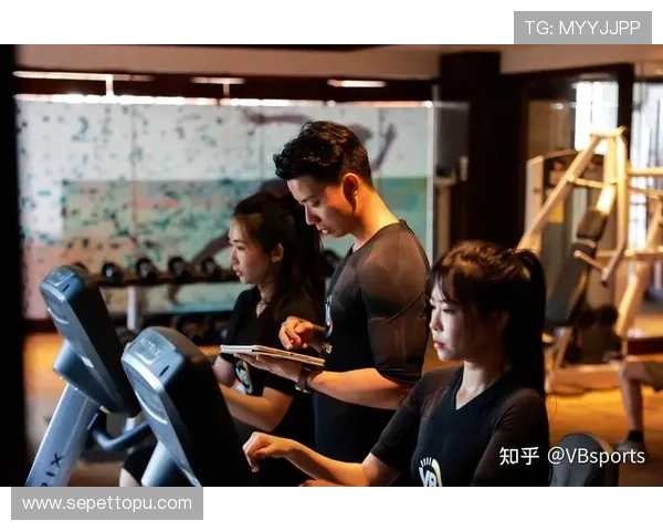 全面解析vsports官网官方平台的功能特色与用户操作流程指南